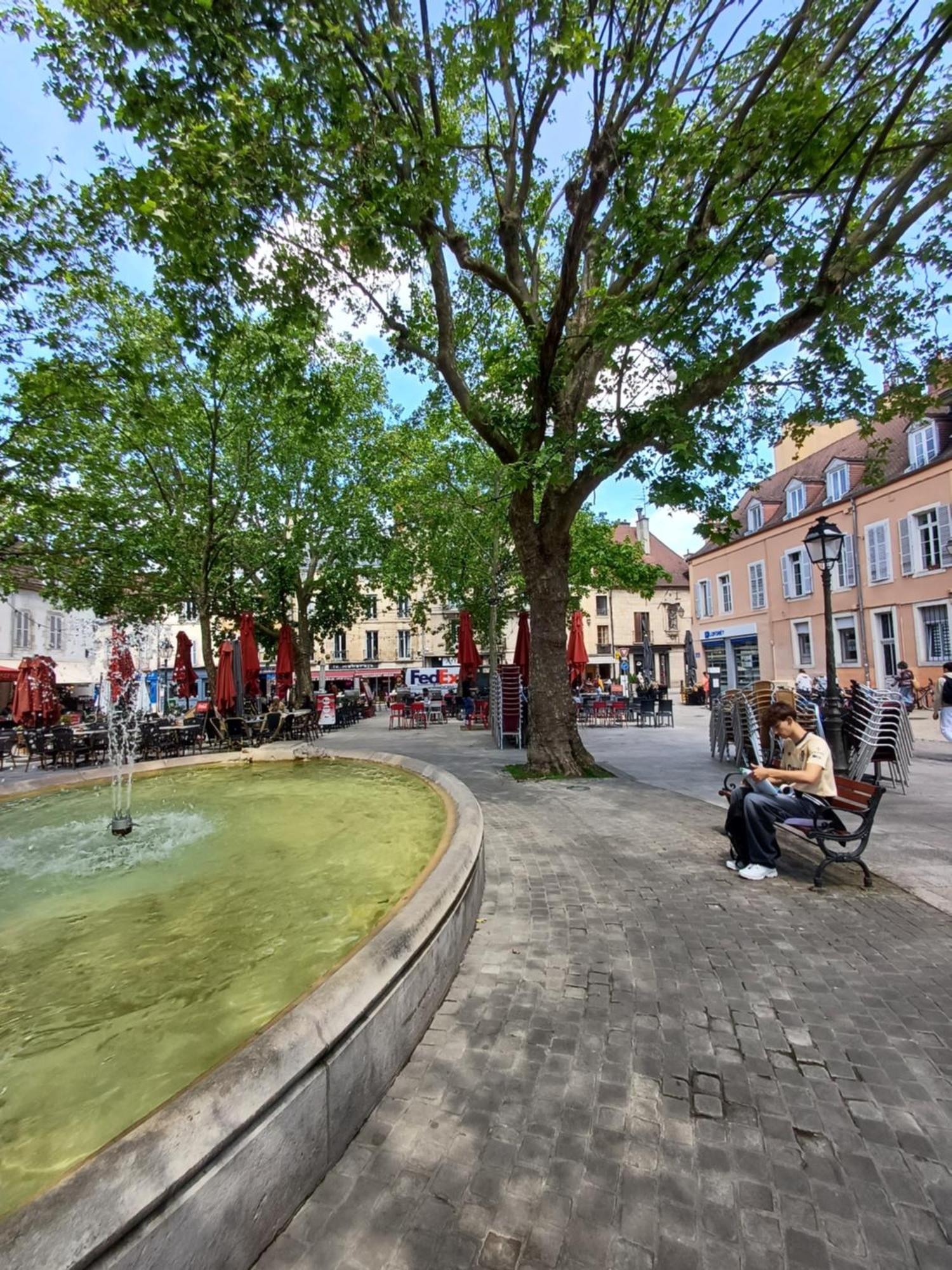 *Monge Zola* Appartement Dijon Buitenkant foto